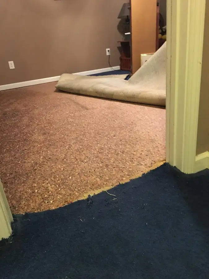 Carpet pad removal revealing water damage during Drying & Dehumidification in Meridianville