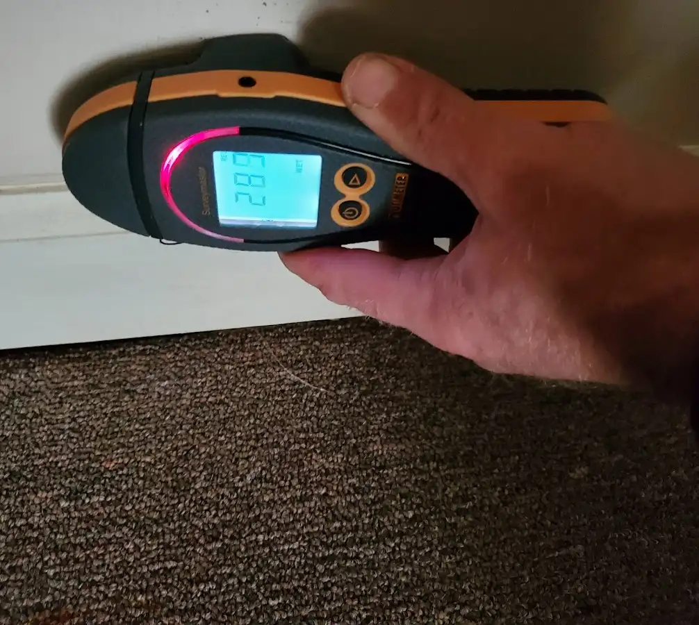 Moisture detection at baseboard during Sewage Cleanup & Sanitation in Meridianville